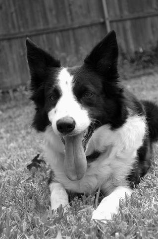 [DSC_0781[8].jpg]