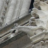 Gargula Bélgica.jpg