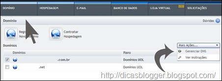 gerenciar dns
