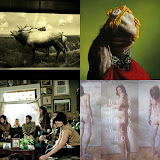 darkdarkdark_albums.jpg darkdarkdark_albums.jpg