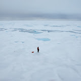 Adriane Colburn Adriane Colburn: ice/man