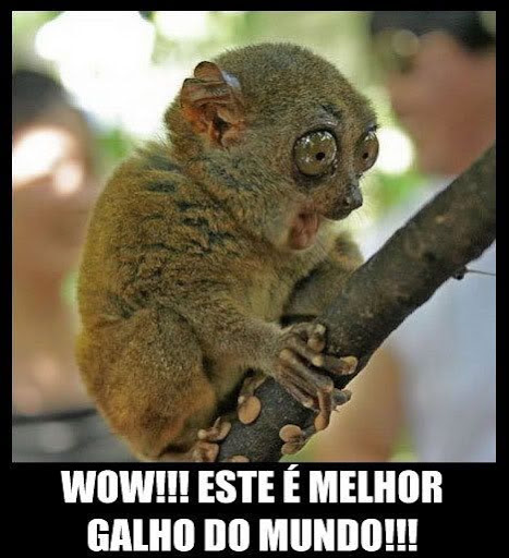 http://lh4.ggpht.com/_EvvaBGA1YBE/S91kUoM8Q4I/AAAAAAAABXQ/ewmarxDJ64w/s512/OgAAAENmkloyLla71vD9LO1-YxFjC344VDHoDFN4elu3aMcI7CMDKTTad7_qjIVxYG4yiggfaEB8TmFLEFQ2ZqWtMGkAm1T1UGE9hU92W7eB_VbuxZf4M9U5CsUb.jpg