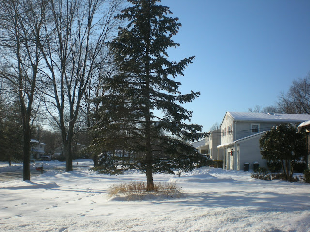 http://lh4.ggpht.com/_EwZBkinh2Yw/SU6pbeIIVGI/AAAAAAAAD3w/yjBCa6i04-U/s640/DSCN0678.JPG