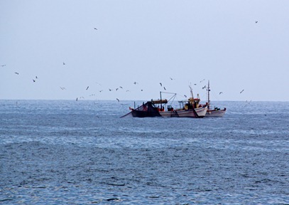 fishing fishing