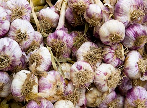 marketgarlic