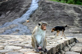 srilanka0007.JPG