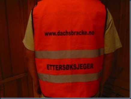 vest1[2]