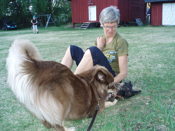 såpevask 020 såpevask 020