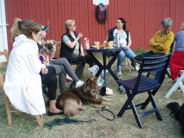 såpevask 021 såpevask 021
