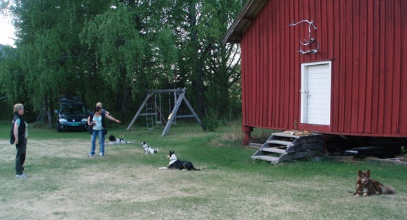 såpevask 023 såpevask 023
