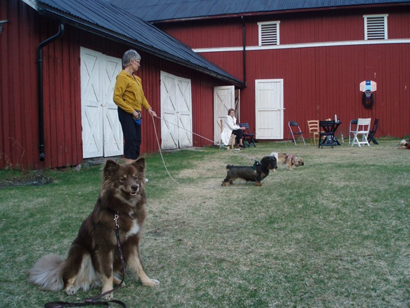 såpevask 024 såpevask 024