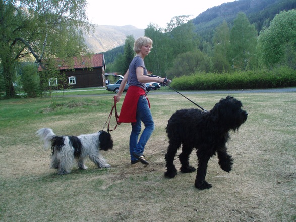såpevask 022 såpevask 022