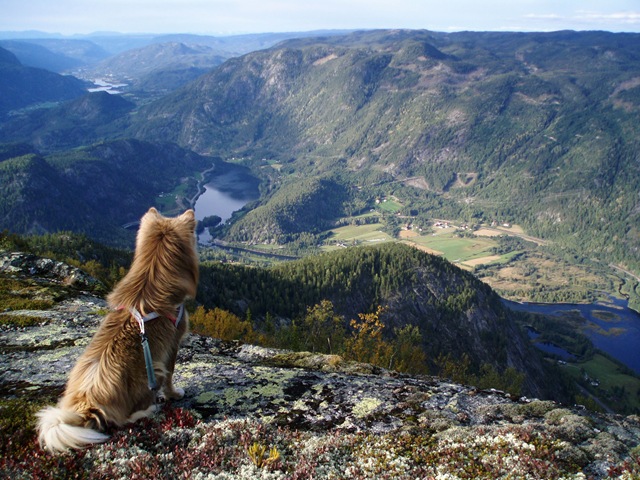 [Ryfjell 018[3].jpg]