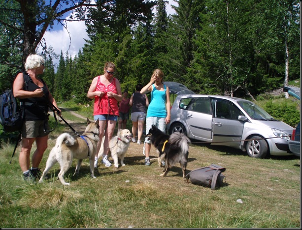 hundetreff 027 hundetreff 027