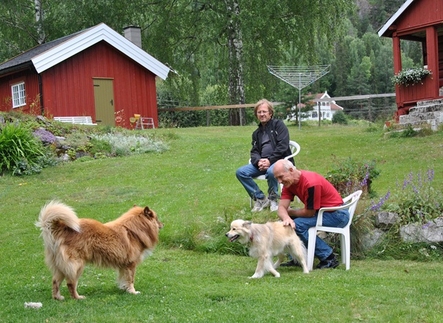 søndag 010 søndag 010