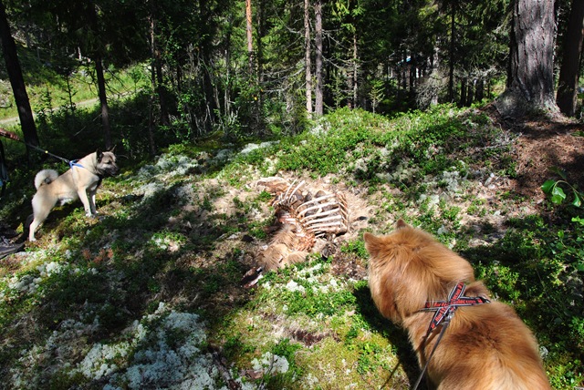 [Todalen 013[2].jpg]