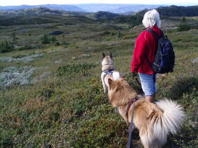 [Blåfjell 016[2].jpg]