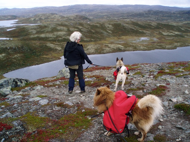 [Åkrefjell 012[5].jpg]