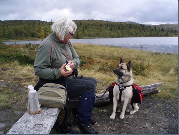 Åkrefjell 019