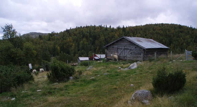 [Åkrefjell 020[8].jpg]
