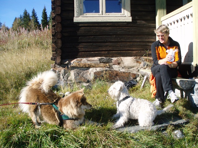 [Garnås 020[2].jpg]
