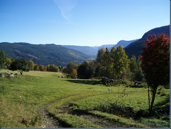 Garnås 026