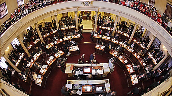[senate[6].jpg]