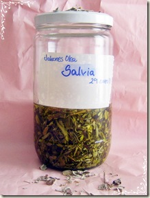 oleato salvia oleato salvia
