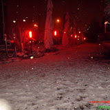 Nieve (Invierno 2008 - 2009)