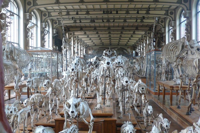 [museum[5].jpg]