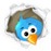 twitterIcon