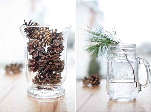 pinecones and pine branch.jpg pinecones and pine branch.jpg