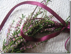 IMG_2850 IMG_2850