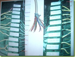 CIMG5975