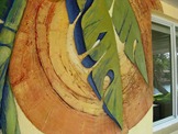 Stucco 3