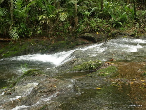 Visiting_a_waterfall_in_Sarawak_20