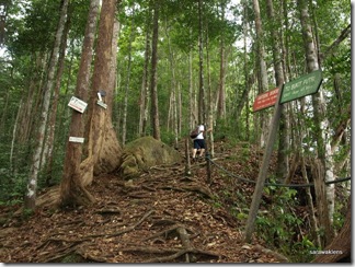 Santubong_Mountain_Kuching_Sarawak_27 Santubong_Mountain_Kuching_Sarawak_27