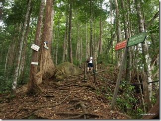 Santubong_Mountain_Kuching_Sarawak_27