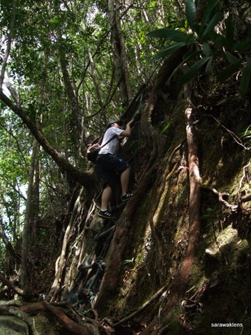 [Santubong_Mountain_Kuching_Sarawak_11[2].jpg]