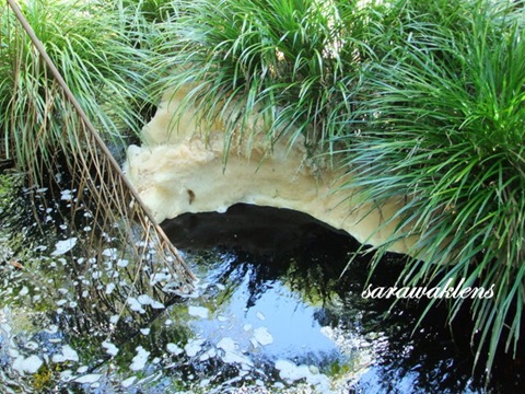 Tajor_Waterfall_Bako_National_Park_16 Tajor_Waterfall_Bako_National_Park_16