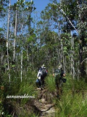 Teluk_Limau_Trek_Bako_National_Park_19