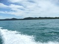 Pulau_Lakei_Bako_National_Park_34