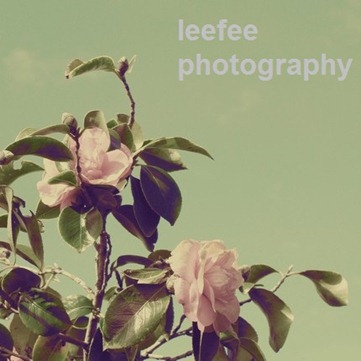 leefeephotography