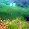 Tagesausflüge / Events - Marzlinger Weiher