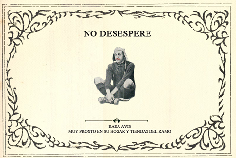 Rara Avis Expedientes