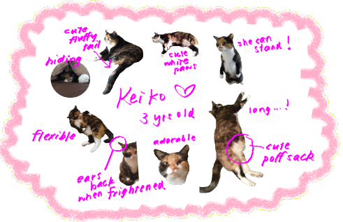 keiko data