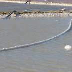 Las salinas