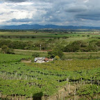 Panor&aacute;mica del Valle del Cauca