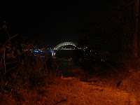 Puente de las Am&eacute;ricas de noche