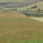 Campos verdes del Parque